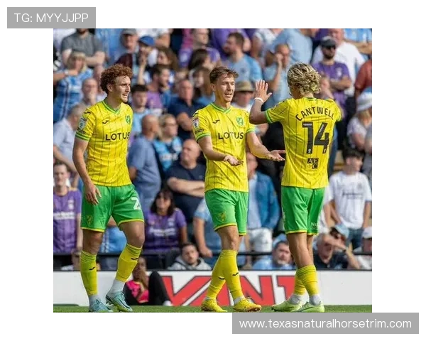 英超联赛各队排名对应奖金分配机制及收益差距全解析 英超联赛各队排名对应奖金分配机制及收益差距全解析