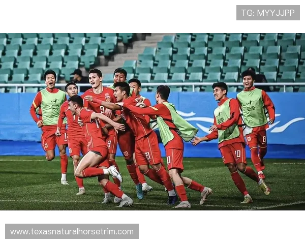 2025年世界杯预选赛战况激烈 中国队迎战强敌全力冲击亚洲区名额 2025年世界杯预选赛战况激烈 中国队迎战强敌全力冲击亚洲区名额